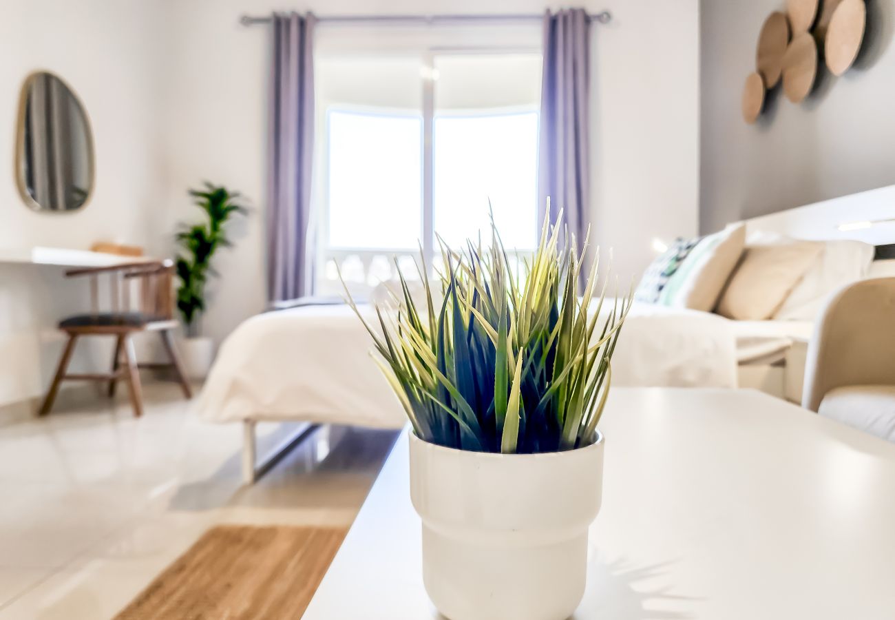 Studio in Ras Al Khaimah - Cosy Studio in Royal Breeze Al Hamra
