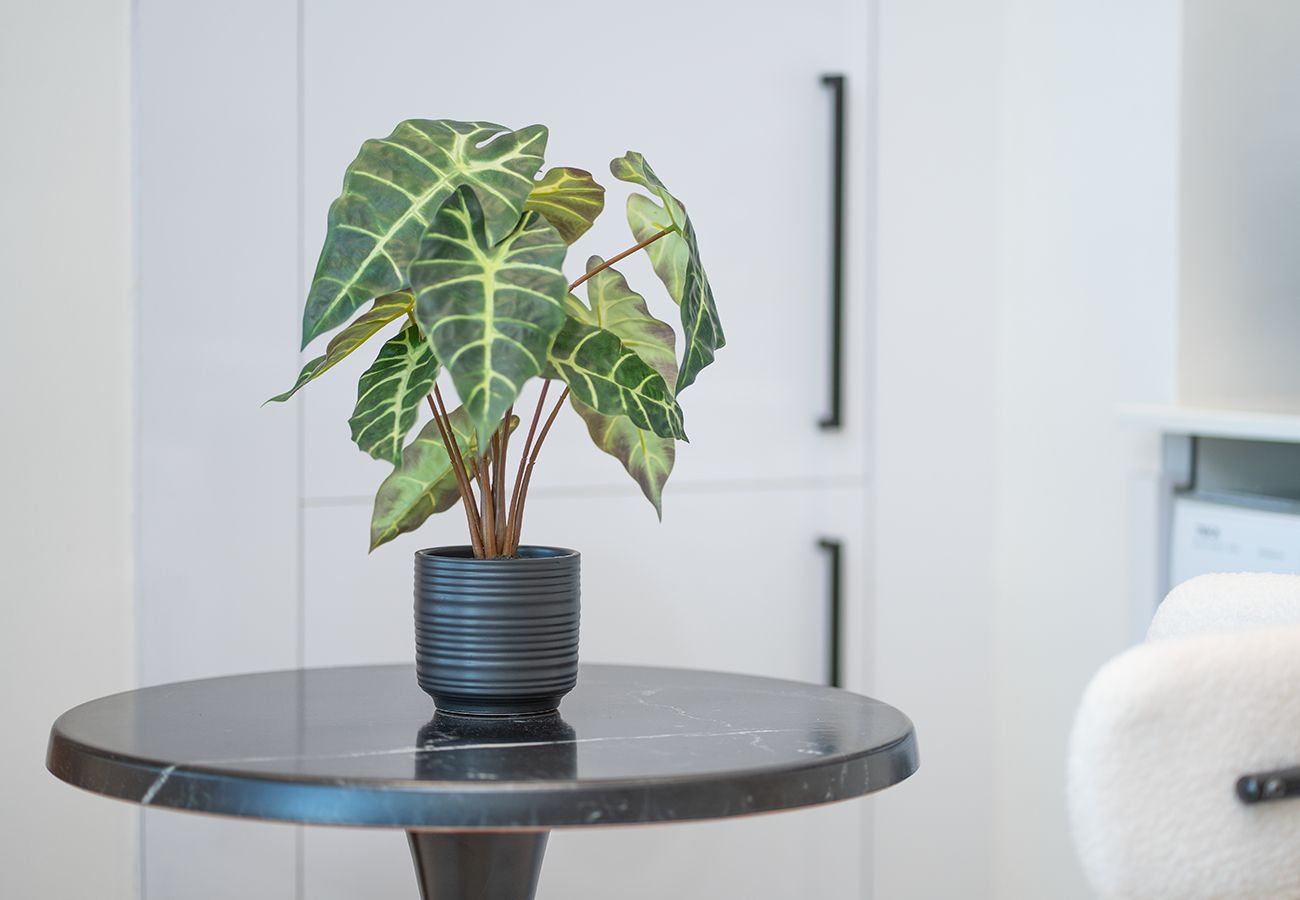 Apartment in Dubai - Beautiful 1 Bed in Binghatti House