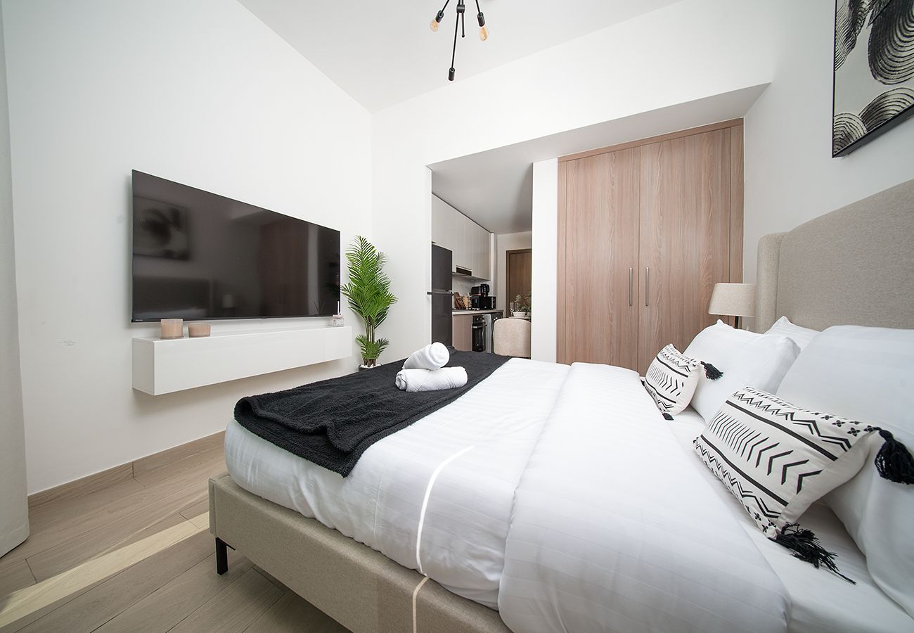 Studio in Dubai - Stylish Studio in Azizi Riviera 38